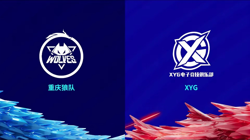 ️小胖又是他！镜切后排砍四杀 Fly廉颇开好团 狼队拿下赛点